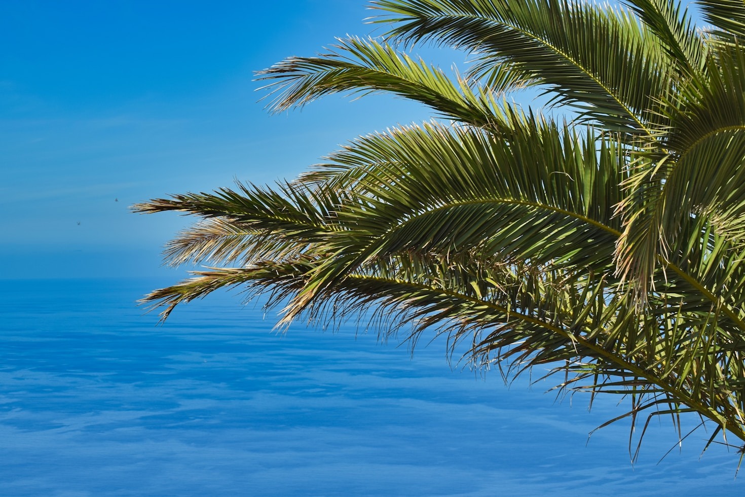 Best Accommodations for Every Budget on La Palma